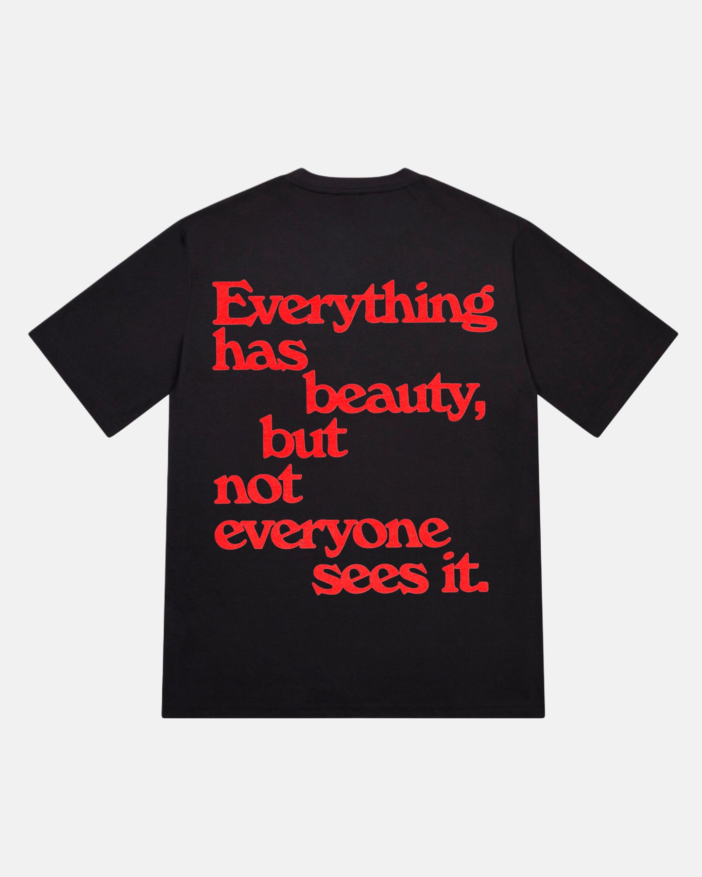 Everything Has Beauty T-Shirt