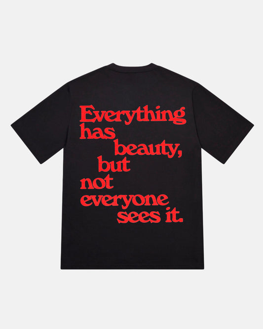 Everything Has Beauty T-Shirt