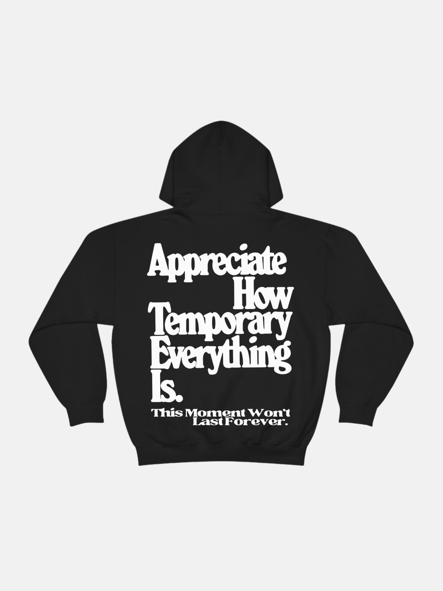 Appreciate How Temporary Hoodie