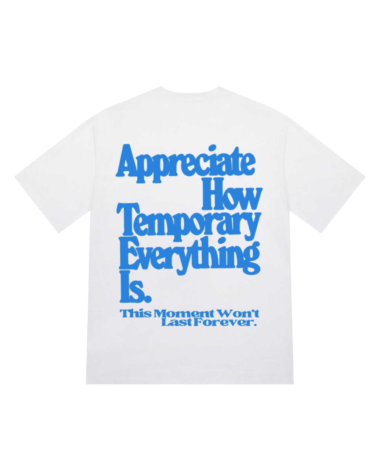 Appreciate How Temporary T-Shirt